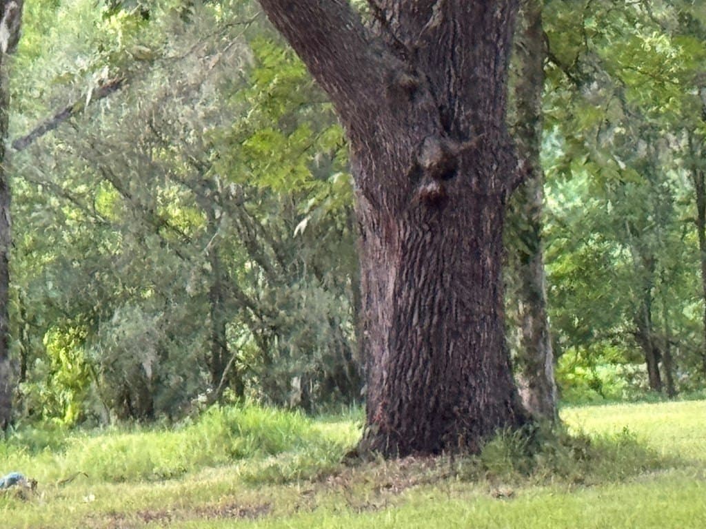 10.45 acres in Texas County - photo 9