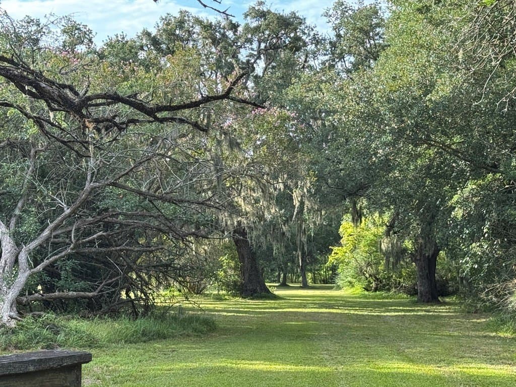 10.45 acres in Texas County - photo 21