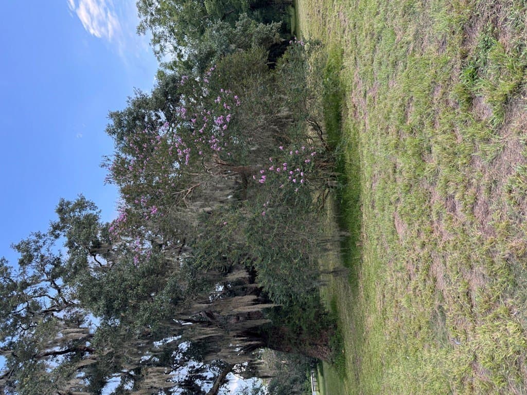 10.45 acres in Texas County - photo 3