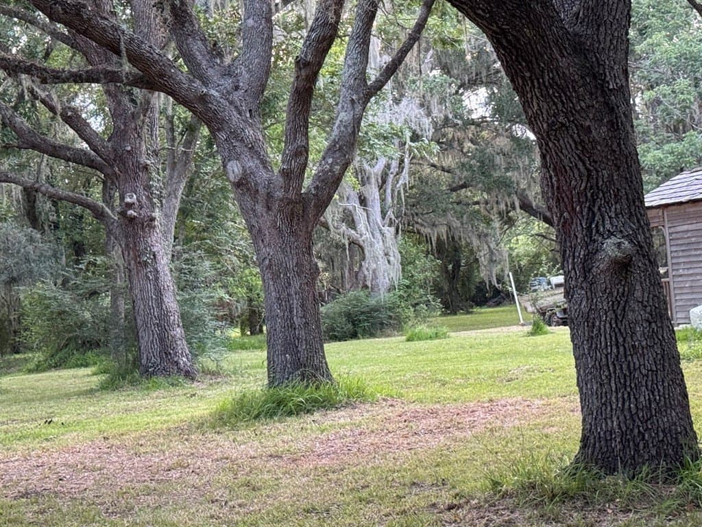 10.45 acres in Texas County - photo 10