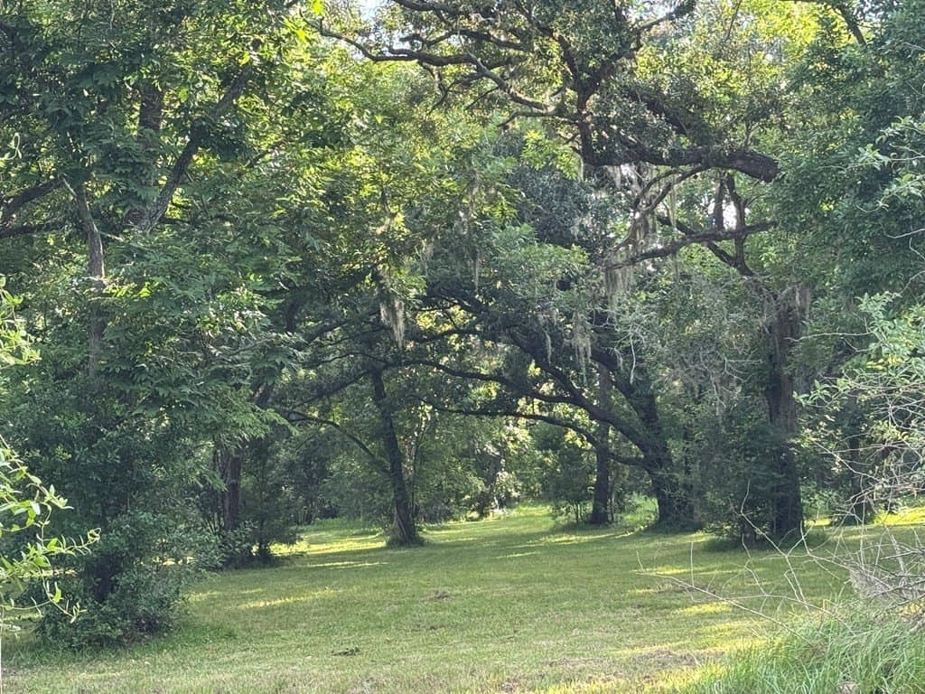 10.45 acres in Texas County - photo 20