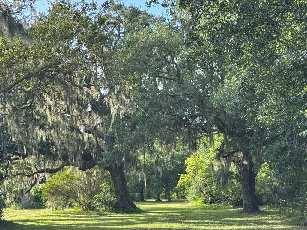 10.45 acres in Texas County - photo 18