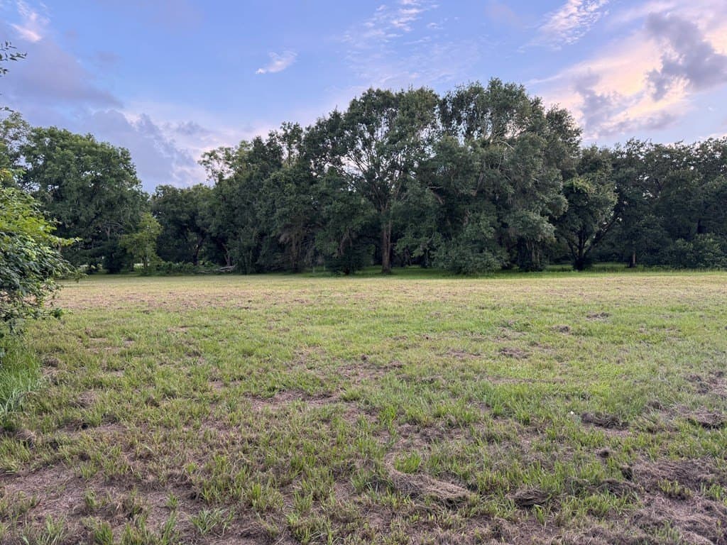 10.45 acres in Texas County - photo 6