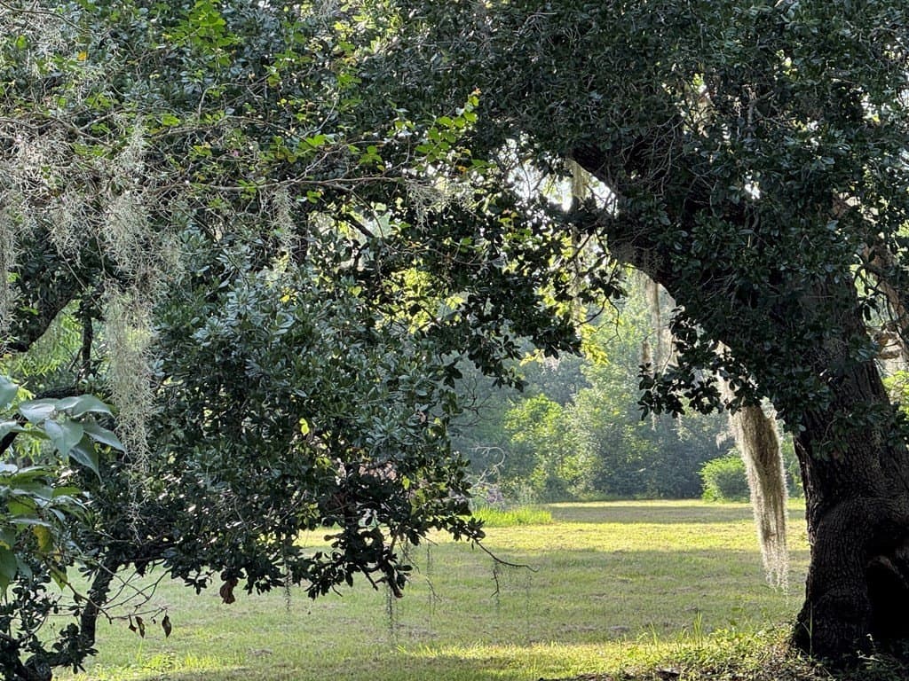 10.45 acres in Texas County - photo 17