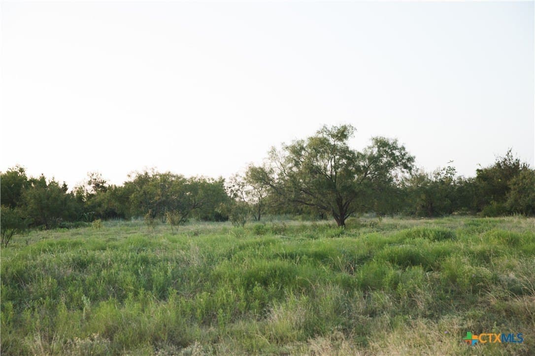 5.3 acres in Coryell County - photo 4