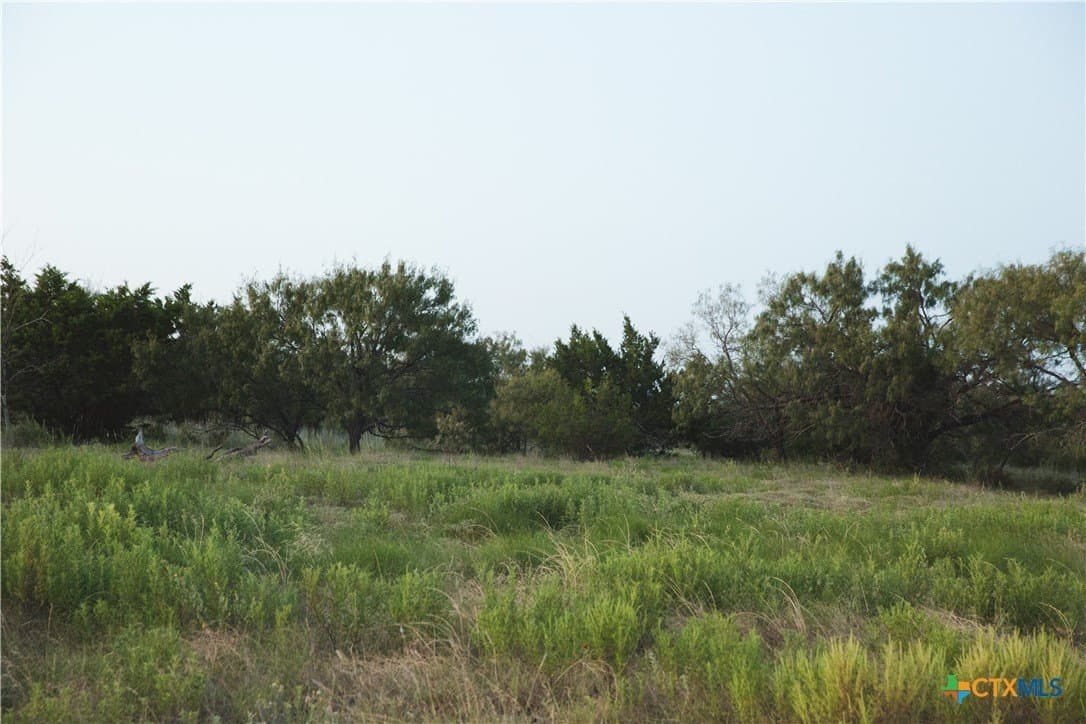 5.3 acres in Coryell County - photo 7