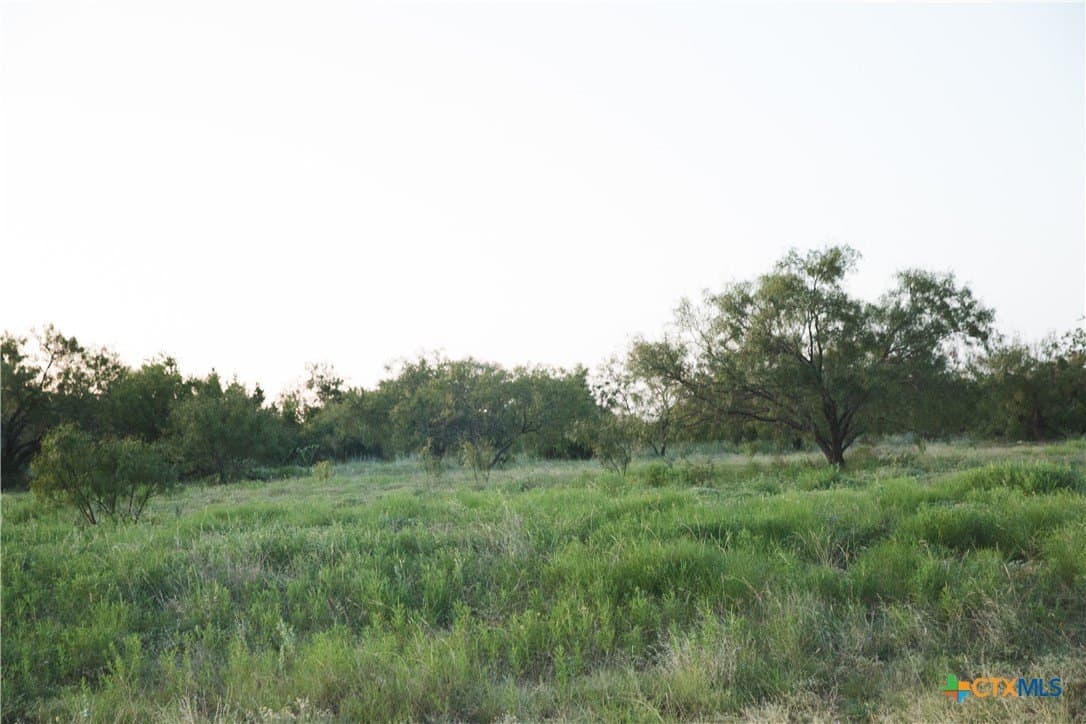 5.3 acres in Coryell County - photo 6