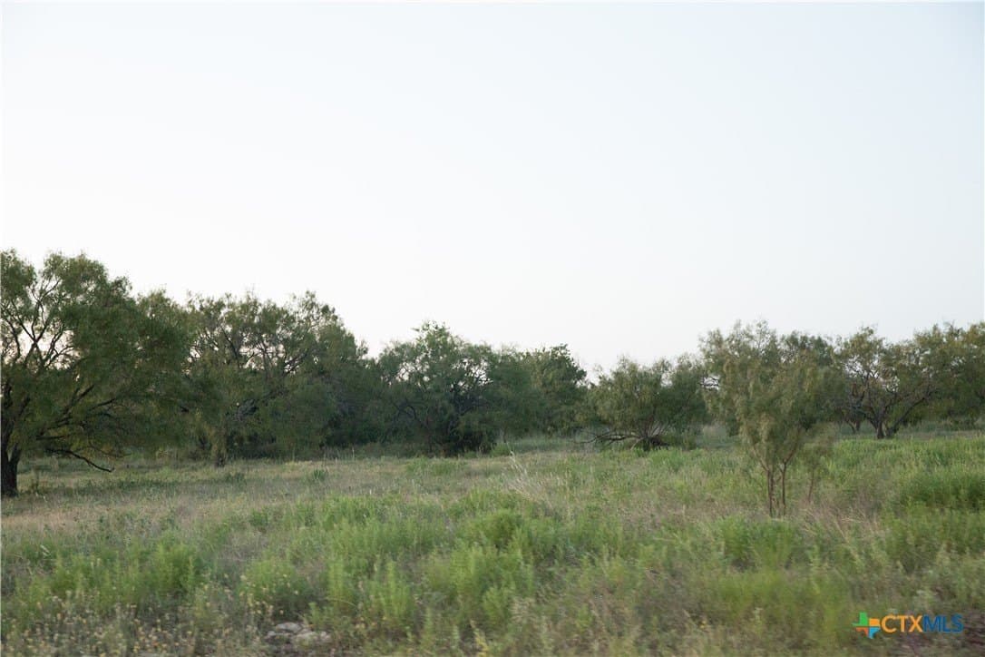 5.3 acres in Coryell County - photo 2