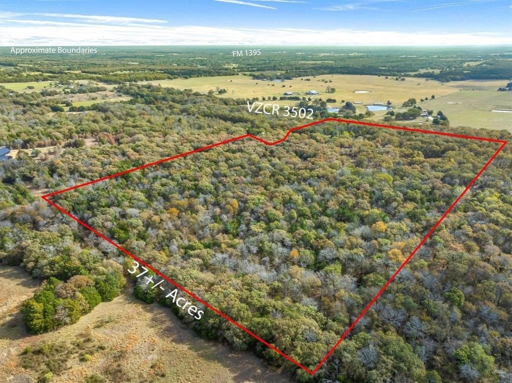 37.17 acres in Van Zandt County - photo 3