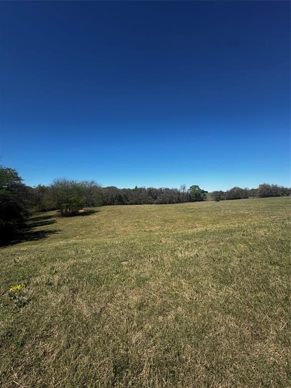 50.03 acres in Henderson County - photo 12