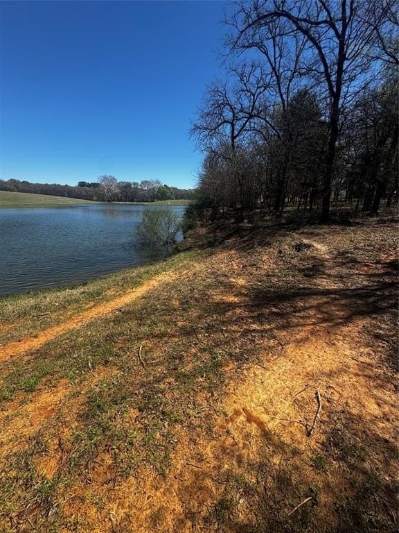 50.03 acres in Henderson County - photo 17