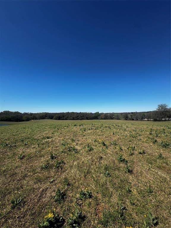 50.03 acres in Henderson County - photo 9