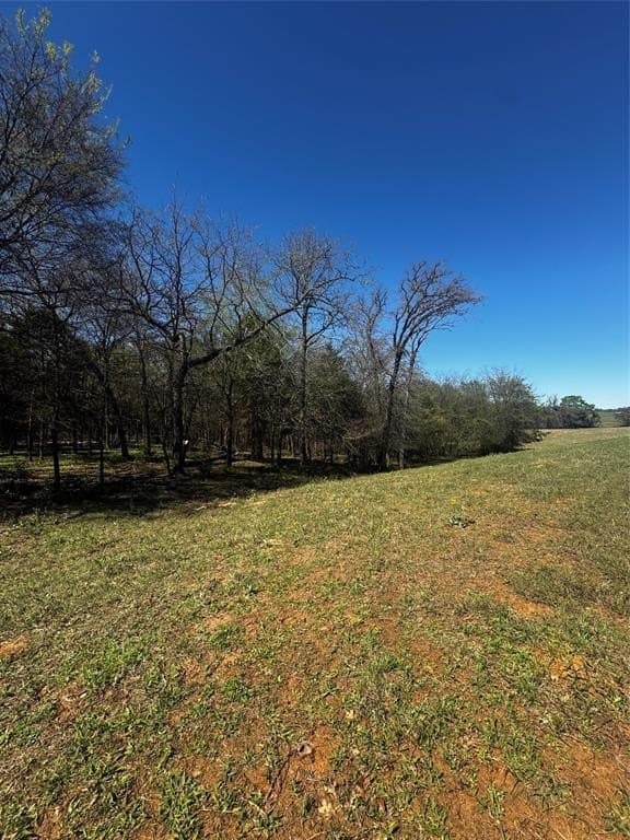 50.03 acres in Henderson County - photo 16