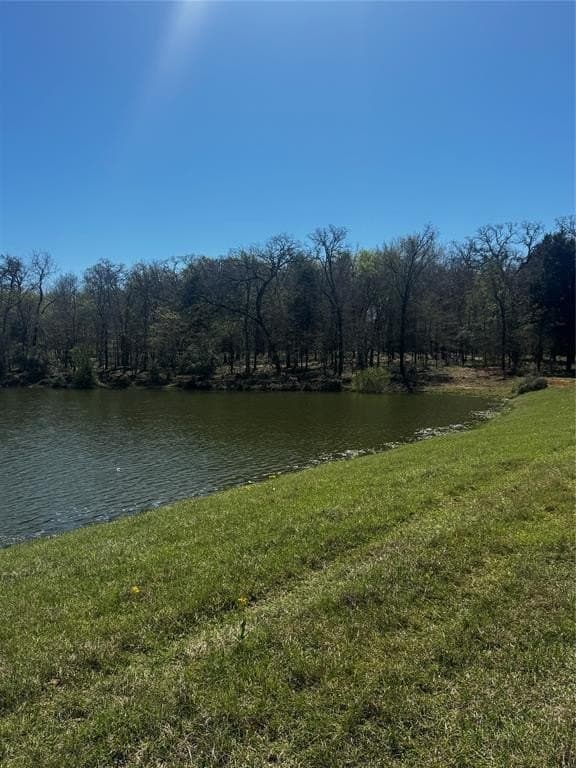 50.03 acres in Henderson County - photo 10