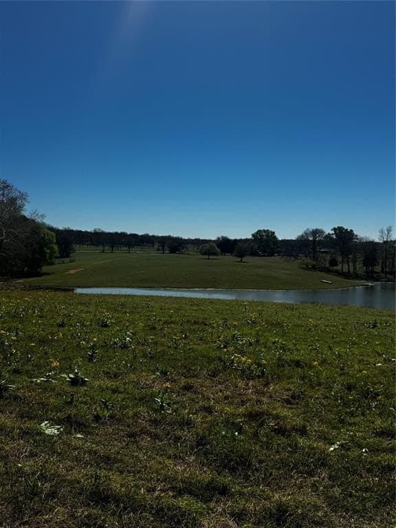 50.03 acres in Henderson County - photo 5