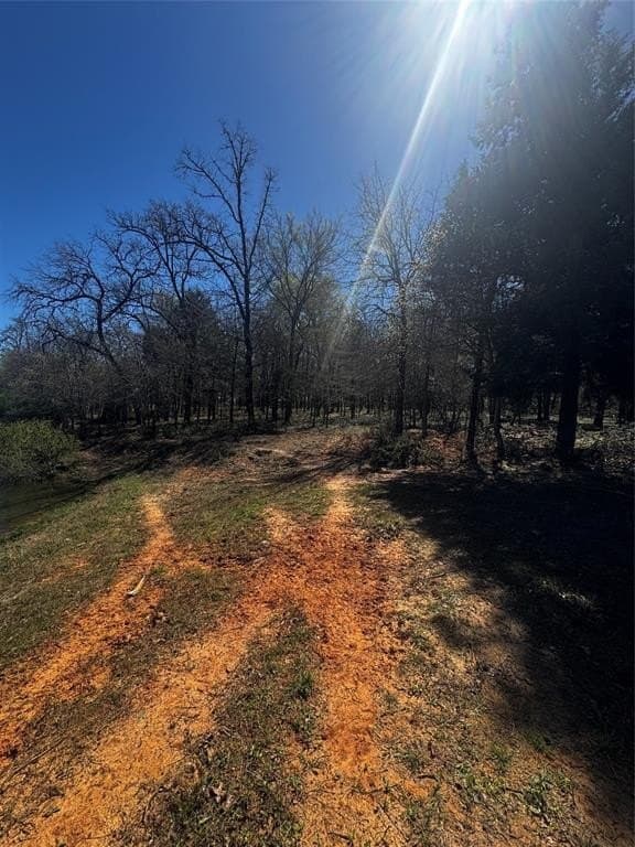 50.03 acres in Henderson County - photo 13