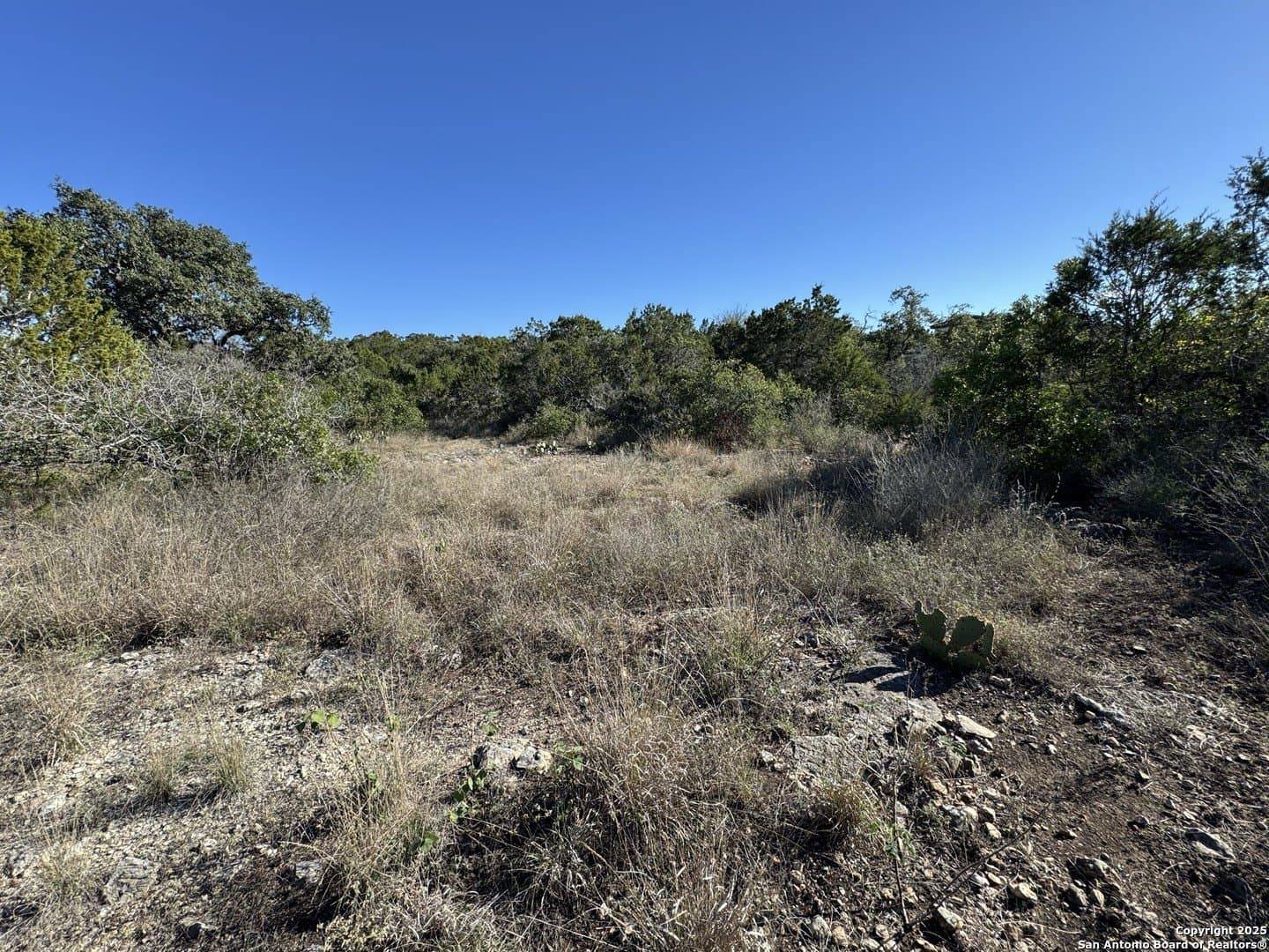 2.39 acres in Medina County - photo 5