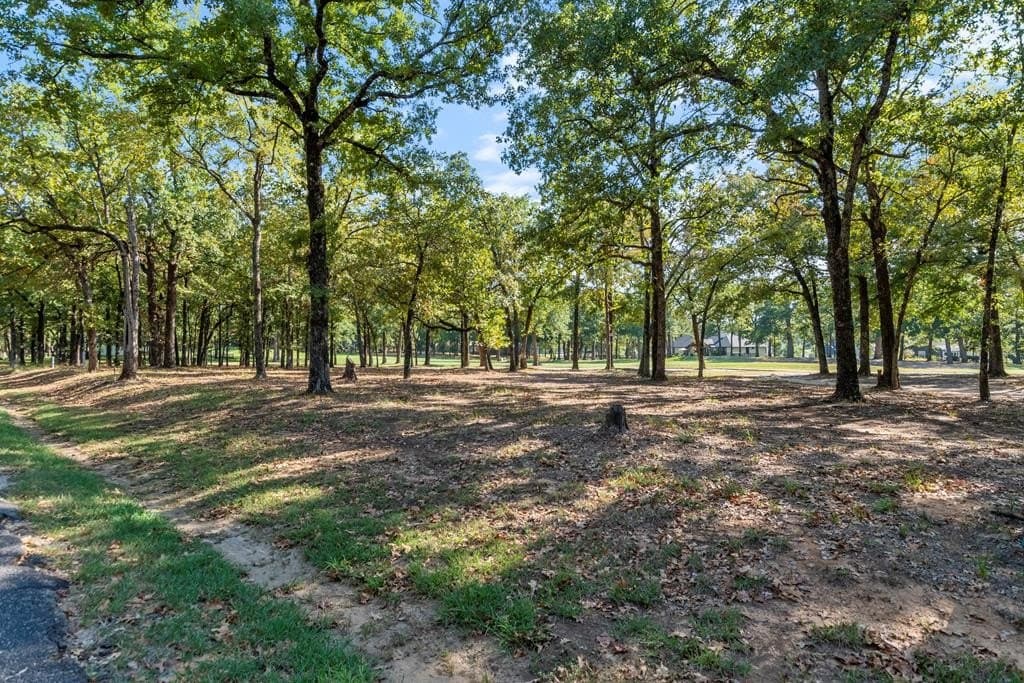 0.26 acres in Henderson County - photo 3