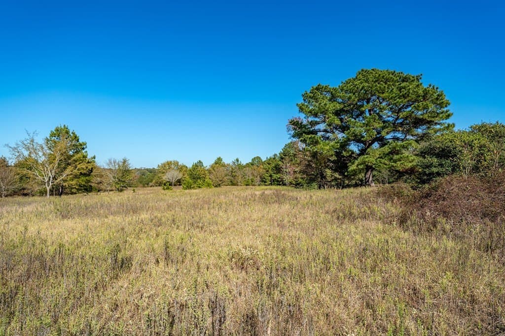69.57 acres in ANDERSON County - photo 23