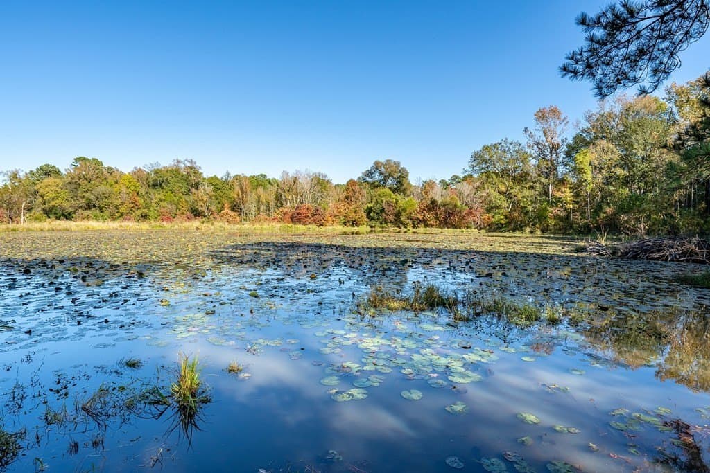 69.57 acres in ANDERSON County - photo 7