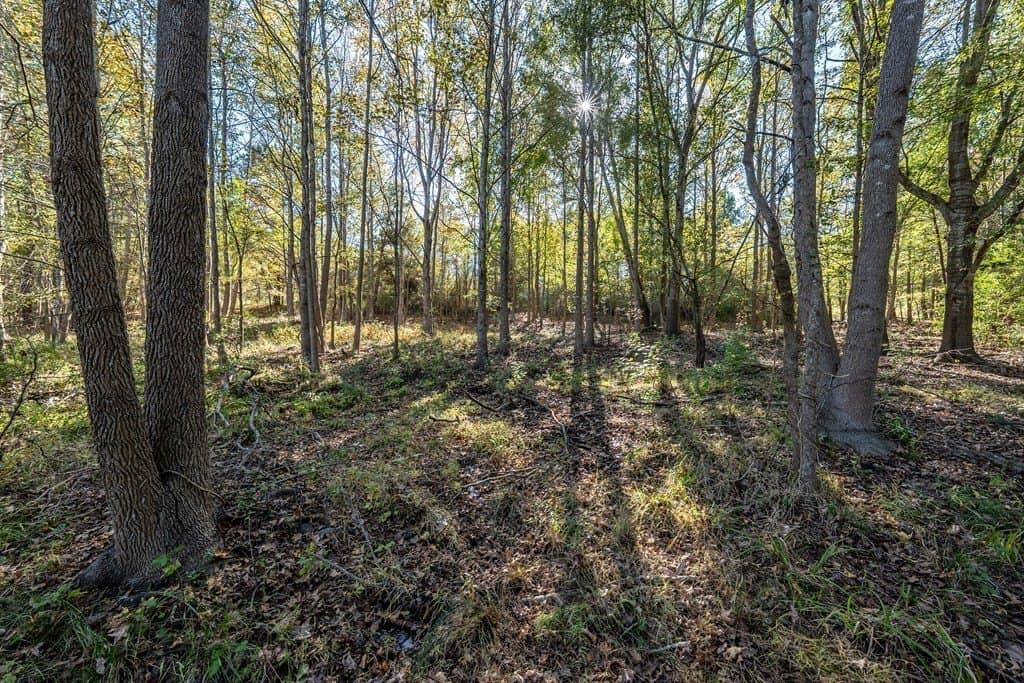 69.57 acres in ANDERSON County - photo 25