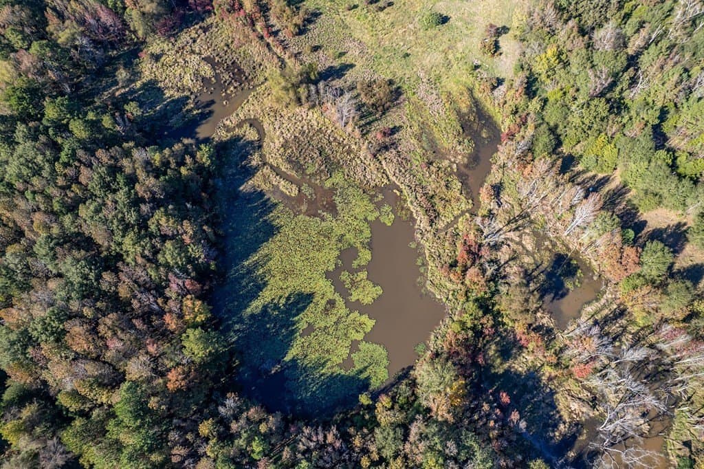 69.57 acres in ANDERSON County - photo 19