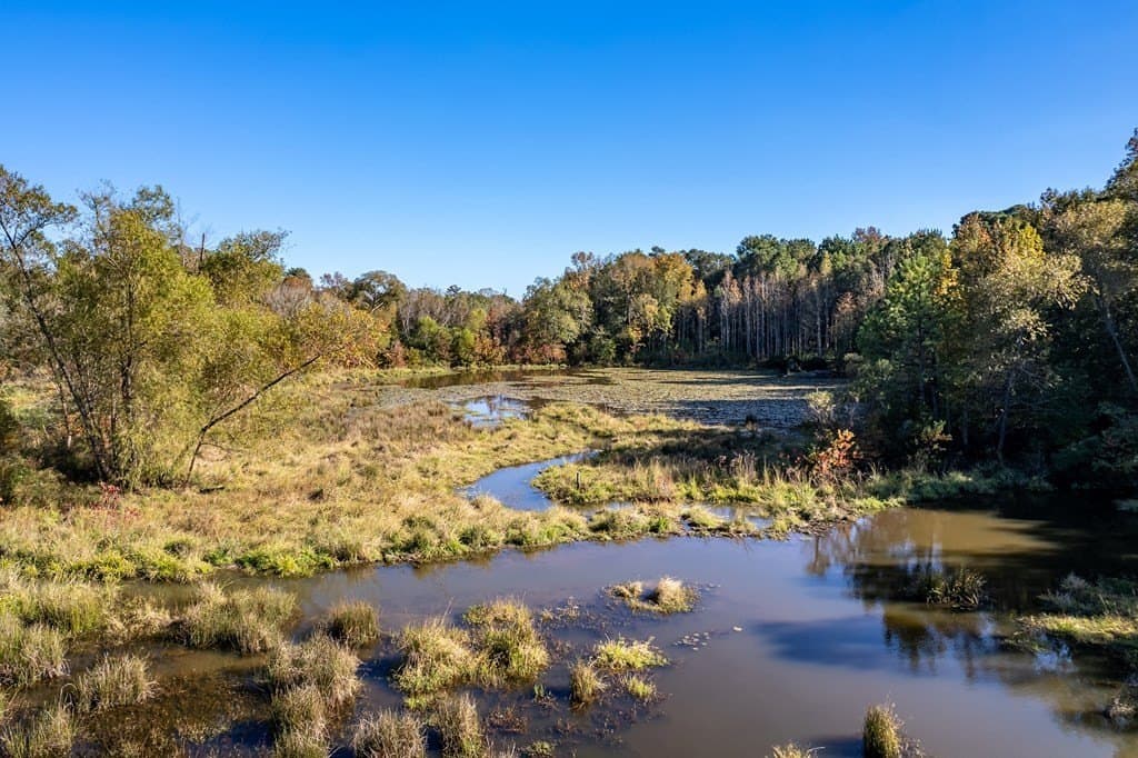 69.57 acres in ANDERSON County - photo 9