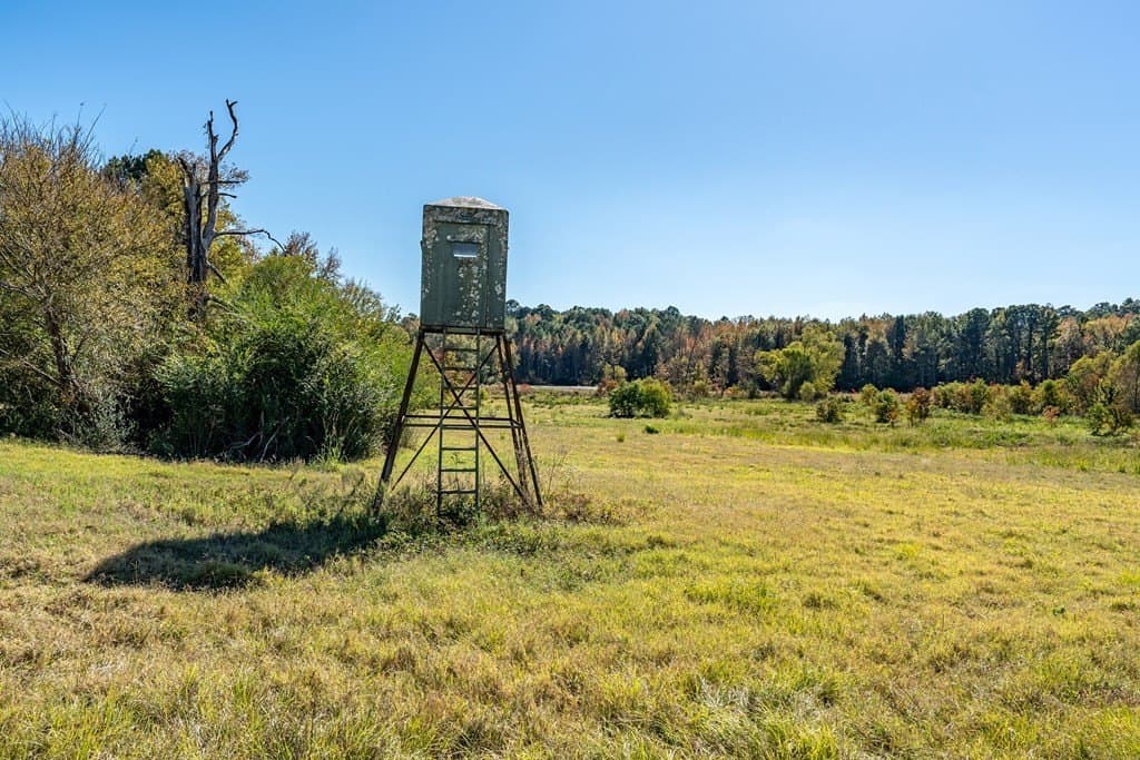 69.57 acres in ANDERSON County - photo 6