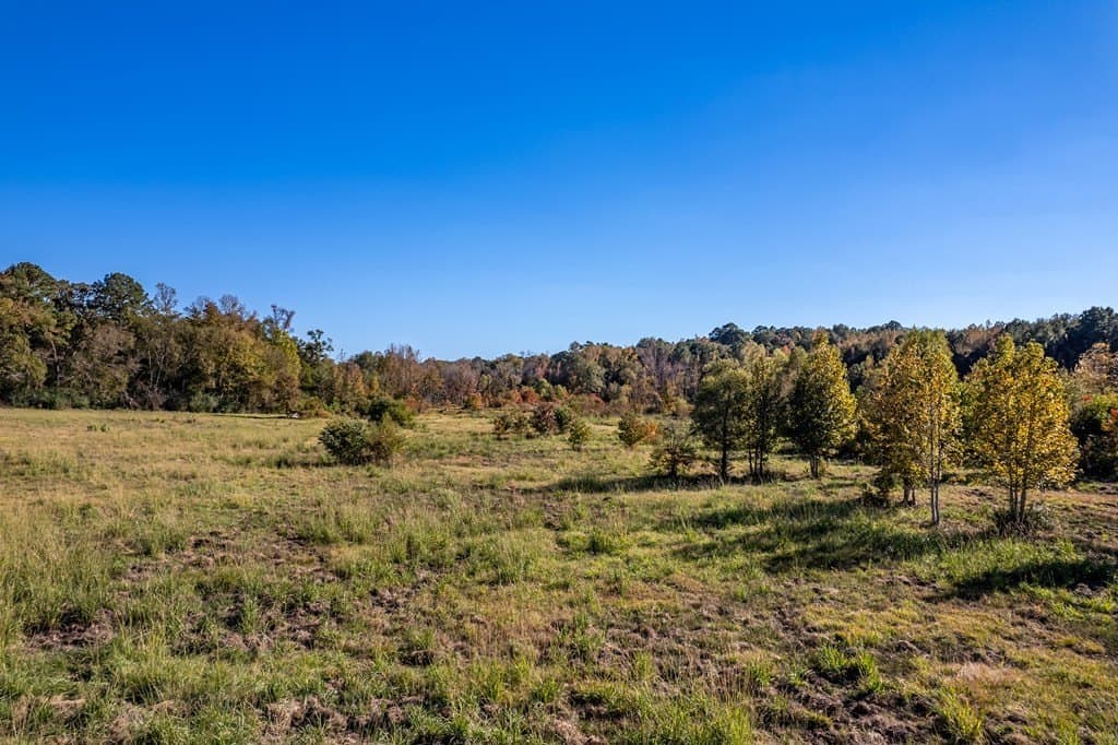 69.57 acres in ANDERSON County - photo 14