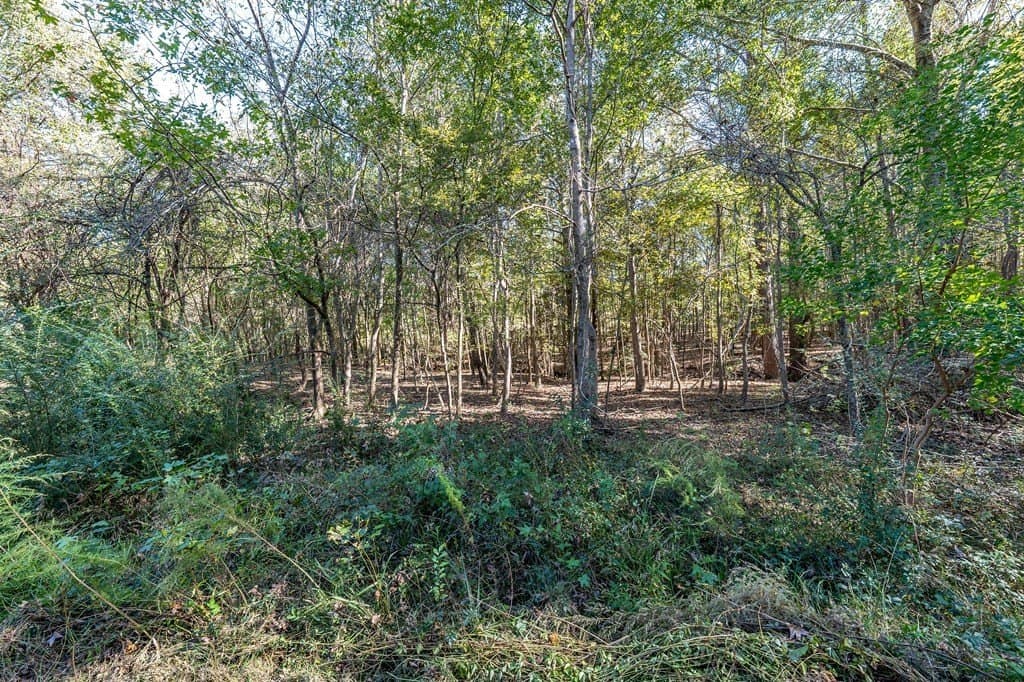 69.57 acres in ANDERSON County - photo 22