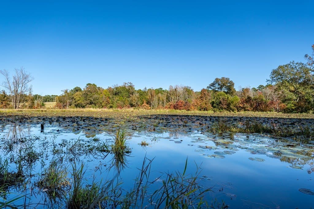 69.57 acres in ANDERSON County - photo 8