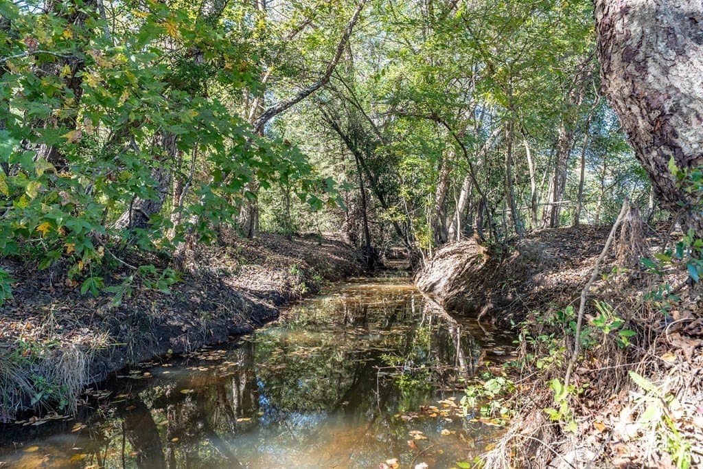 69.57 acres in ANDERSON County - photo 5