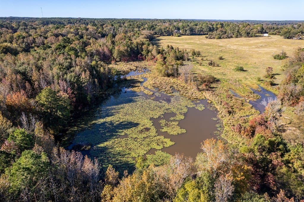 69.57 acres in ANDERSON County - photo 3