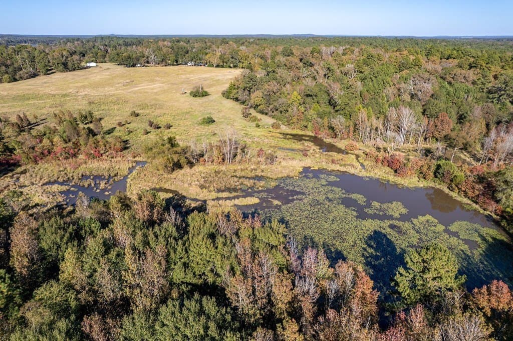 69.57 acres in ANDERSON County - photo 4