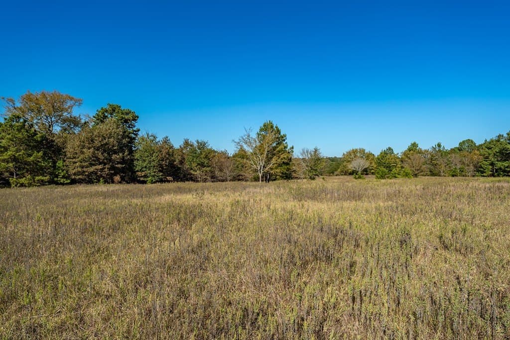 69.57 acres in ANDERSON County - photo 24
