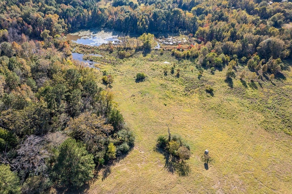 69.57 acres in ANDERSON County - photo 2