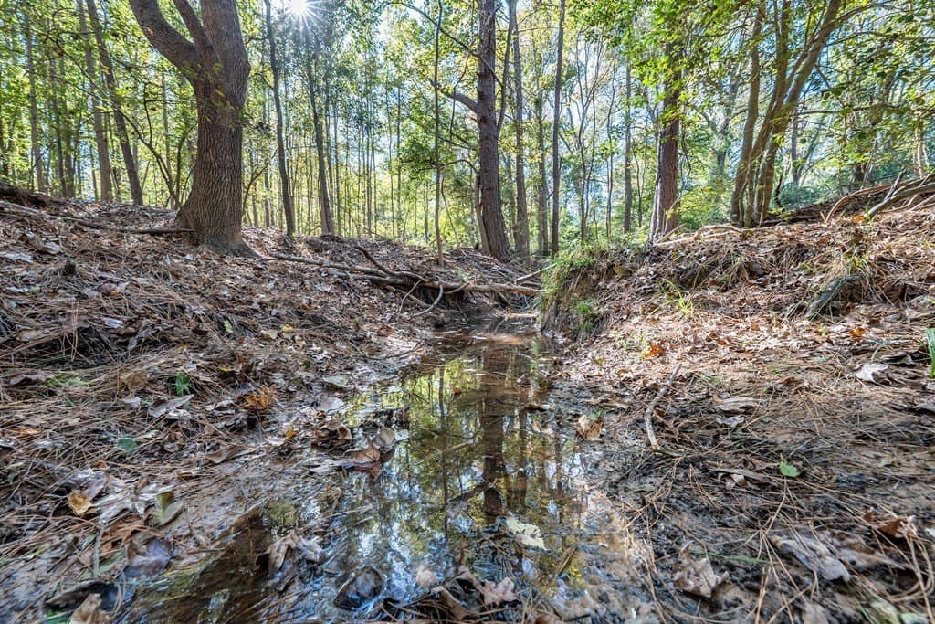 69.57 acres in ANDERSON County - photo 11