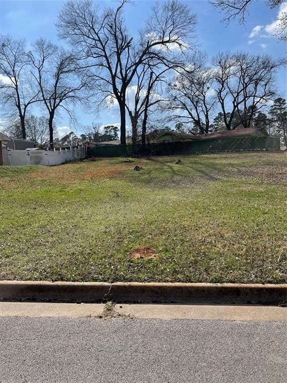 0.22 acres in Smith County - photo 2