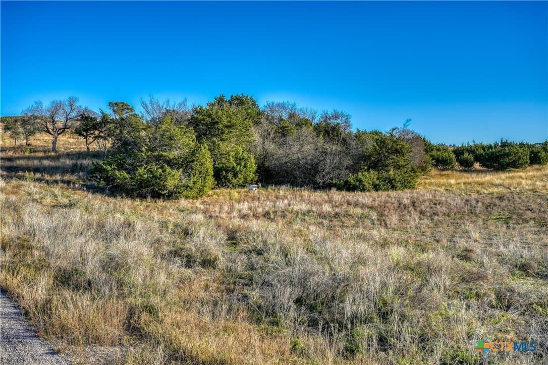 5 acres in Blanco County - photo 10