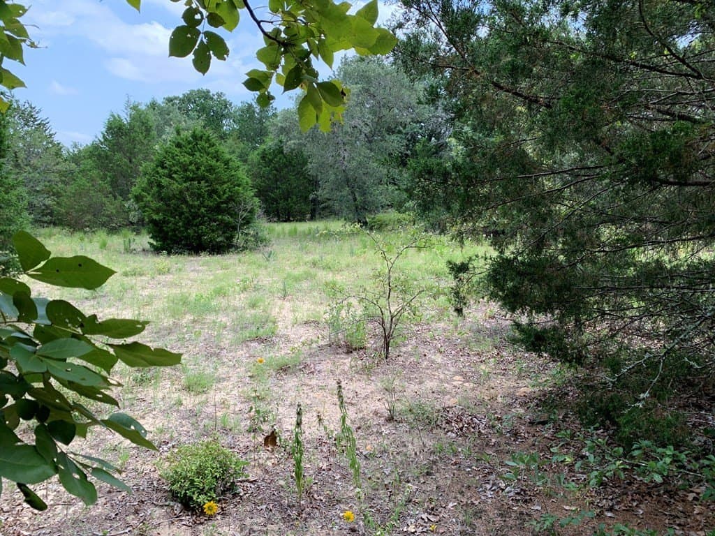 45.69 acres in HENDERSON County - photo 2