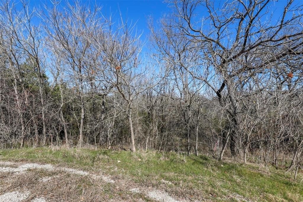 0.25 acres in Hill County - photo 8