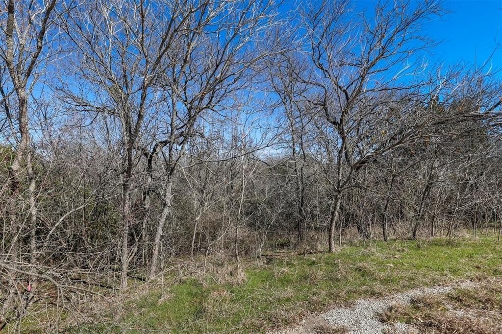 0.25 acres in Hill County - photo 7