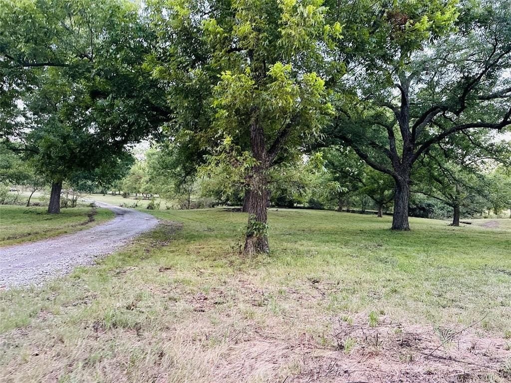 39 acres in Cooke County - photo 6