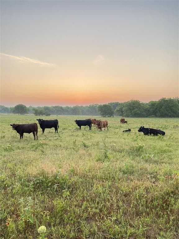 39 acres in Cooke County - photo 4