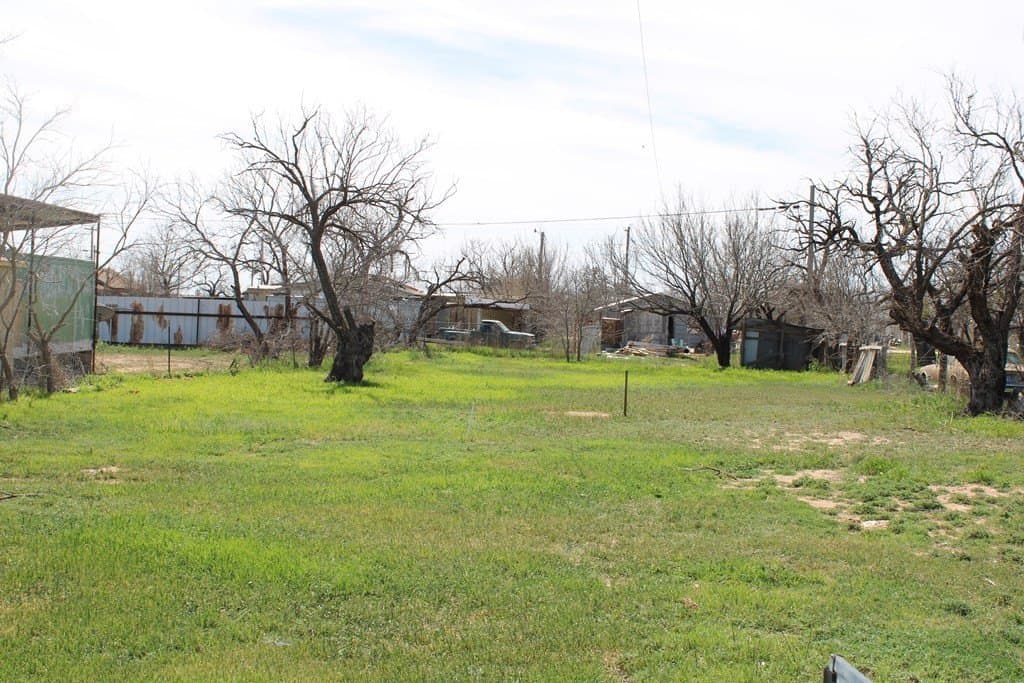 0 acres in Runnels County - photo 4