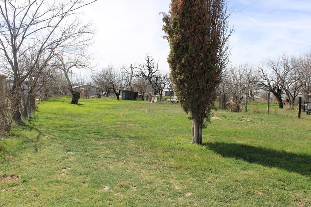 0 acres in Runnels County - photo 3