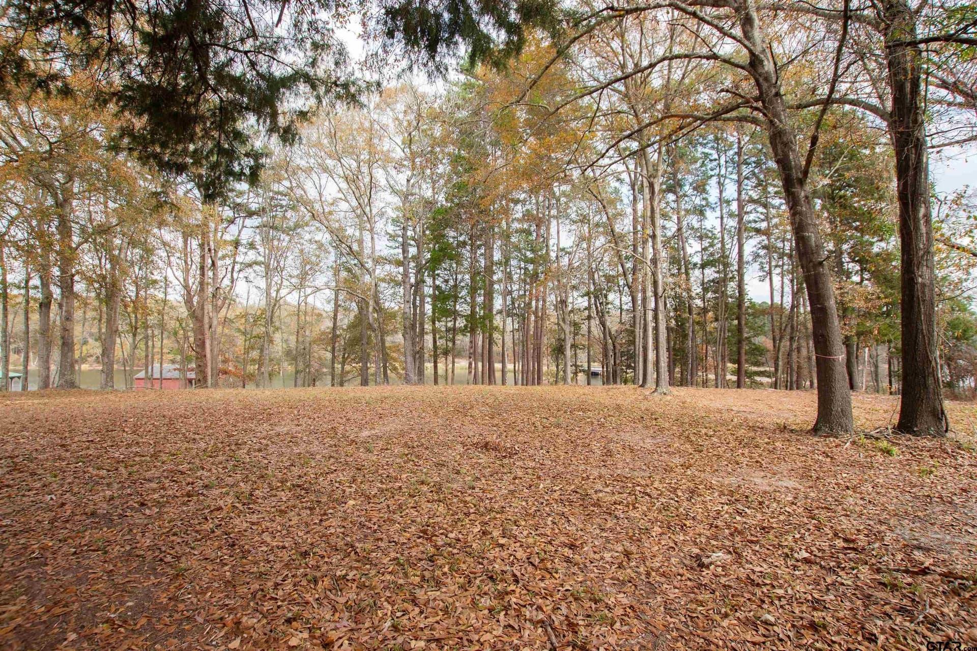 0.79 acres in Smith County - photo 5