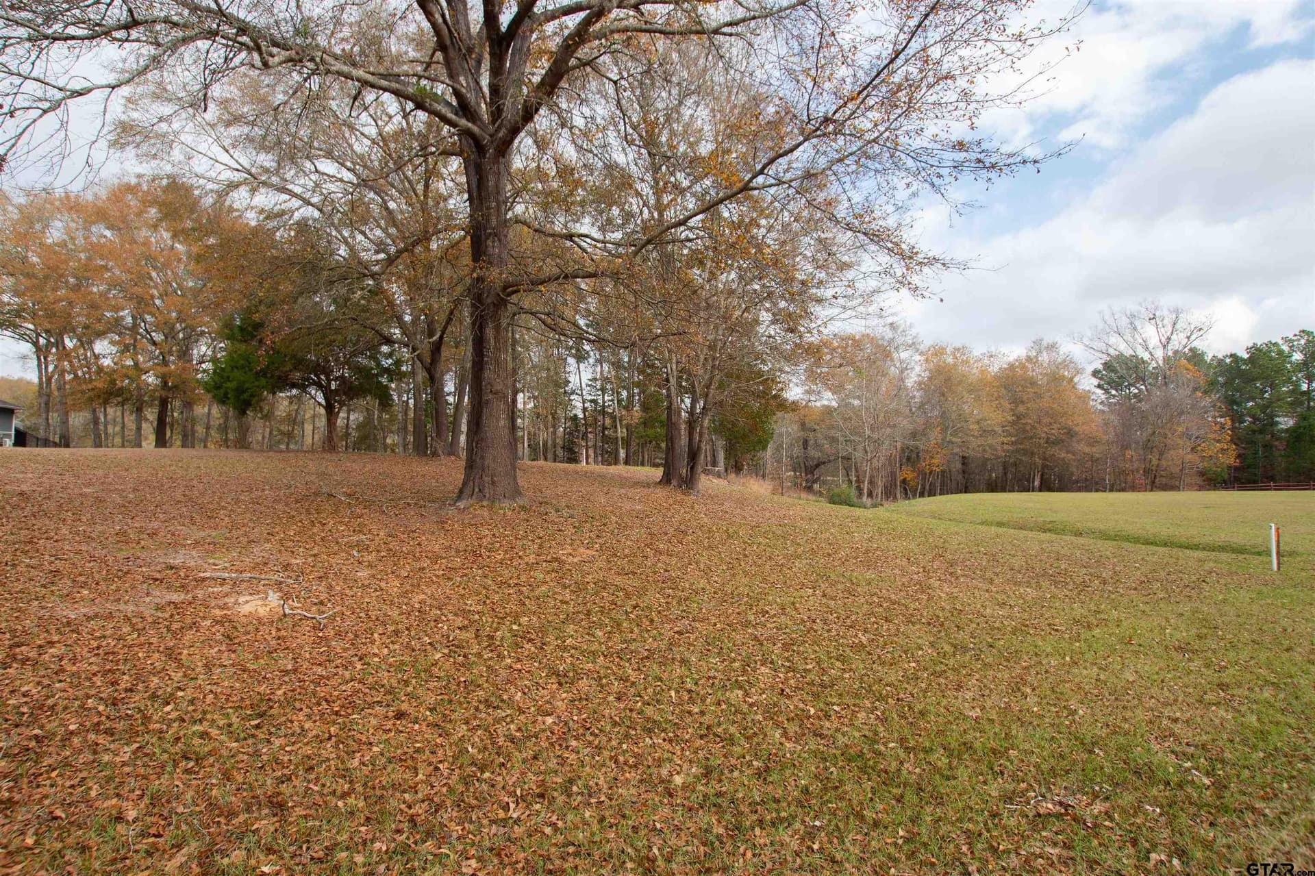 0.79 acres in Smith County - photo 3