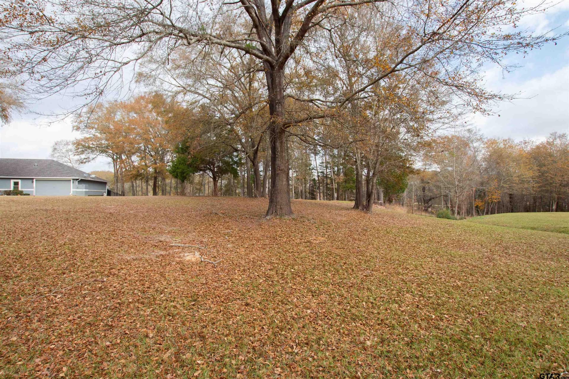 0.79 acres in Smith County - photo 2