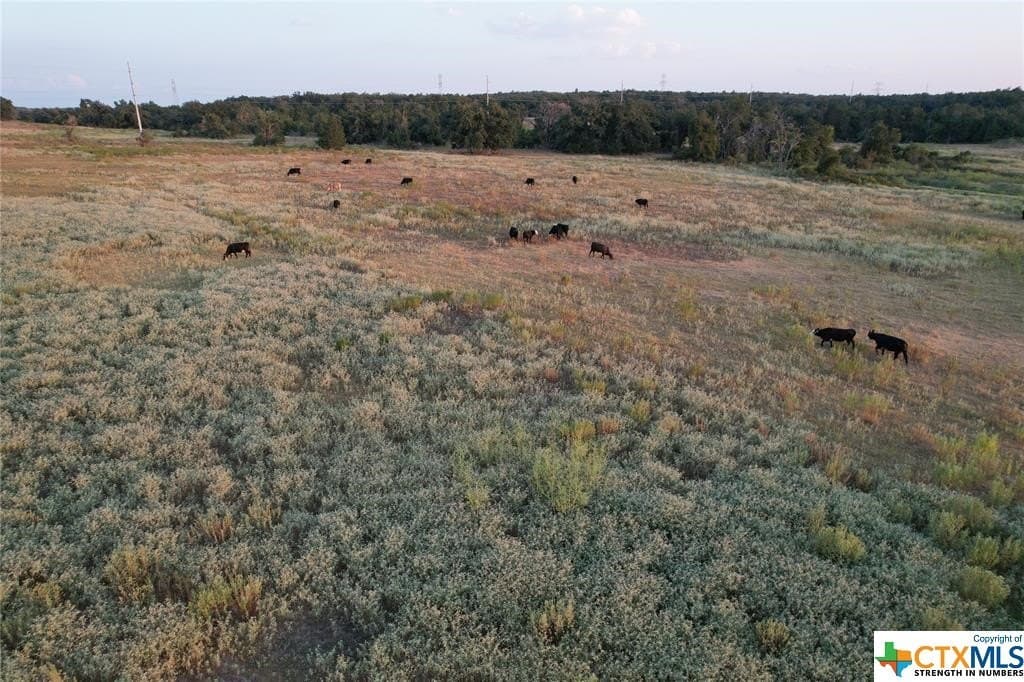 54 acres in Texas County - photo 4